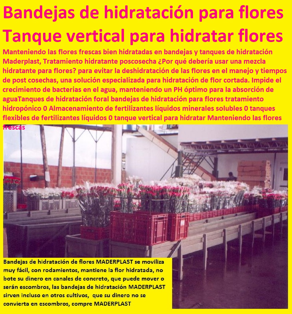 Tanques de hidratación foral bandejas de hidratación para flores tratamiento TUTORES PARA FLORES, CABLE VÍA BANANAS AROMÁTICAS, Cultivos Tecnificados, Invernaderos, Semilleros, Bancos De Siembra, Hidroponía, Agricultura, Cosecha, Poscosecha, hidropónico 0 Almacenamiento de fertilizantes líquidos minerales solubles 0 tanques flexibles de fertilizantes líquidos 0 tanque vertical para hidratar Tanques de hidratación foral bandejas de hidratación para flores tratamiento hidropónico 0 Almacenamiento de fertilizantes líquidos minerales solubles 0 tanques flexibles de fertilizantes líquidos 0 tanque vertical para hidratar